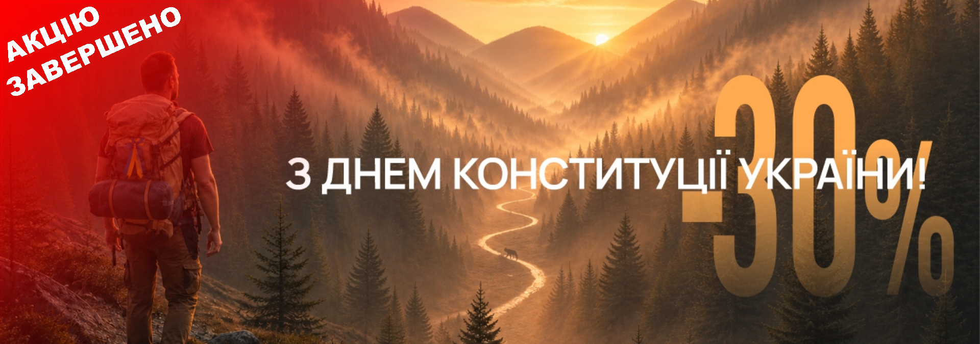 Акція до Дня Конституції України